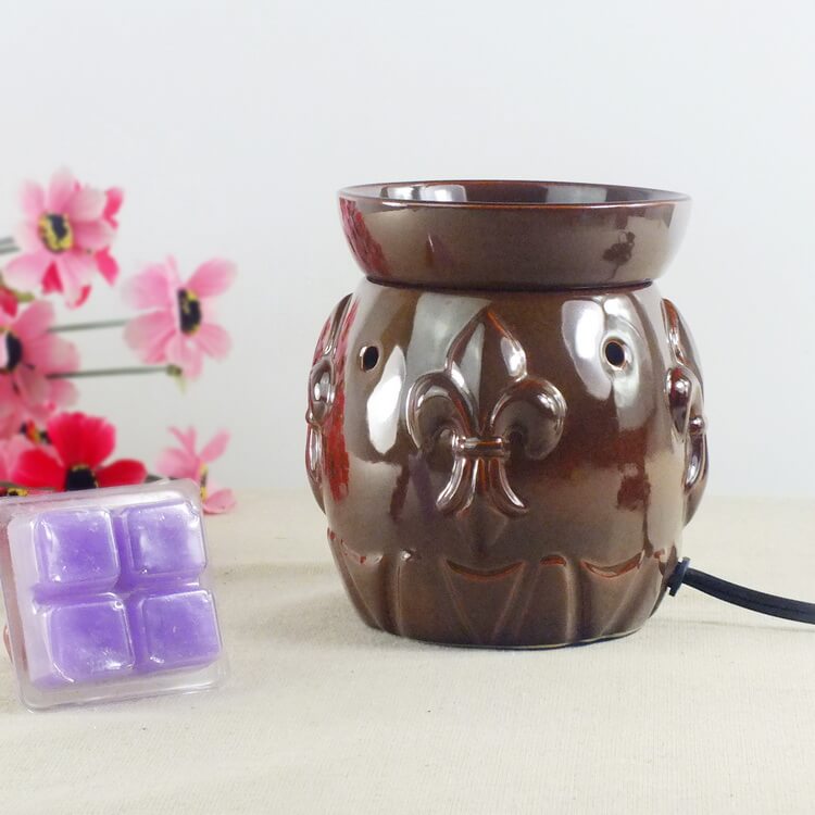 Electric Essential Oil Warmer
